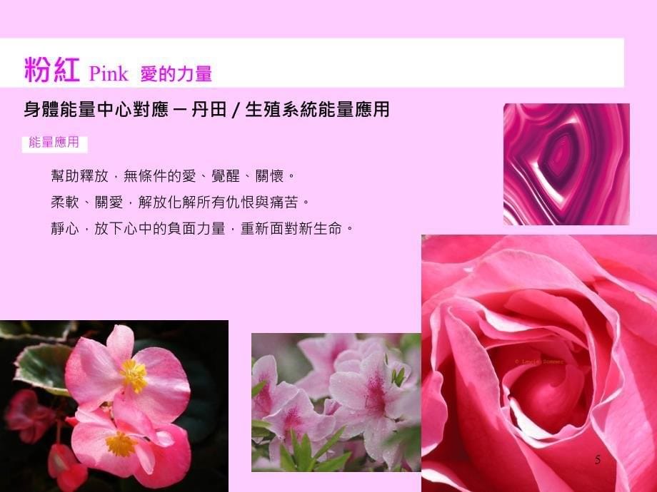 色彩能量学ppt课件.ppt_第5页