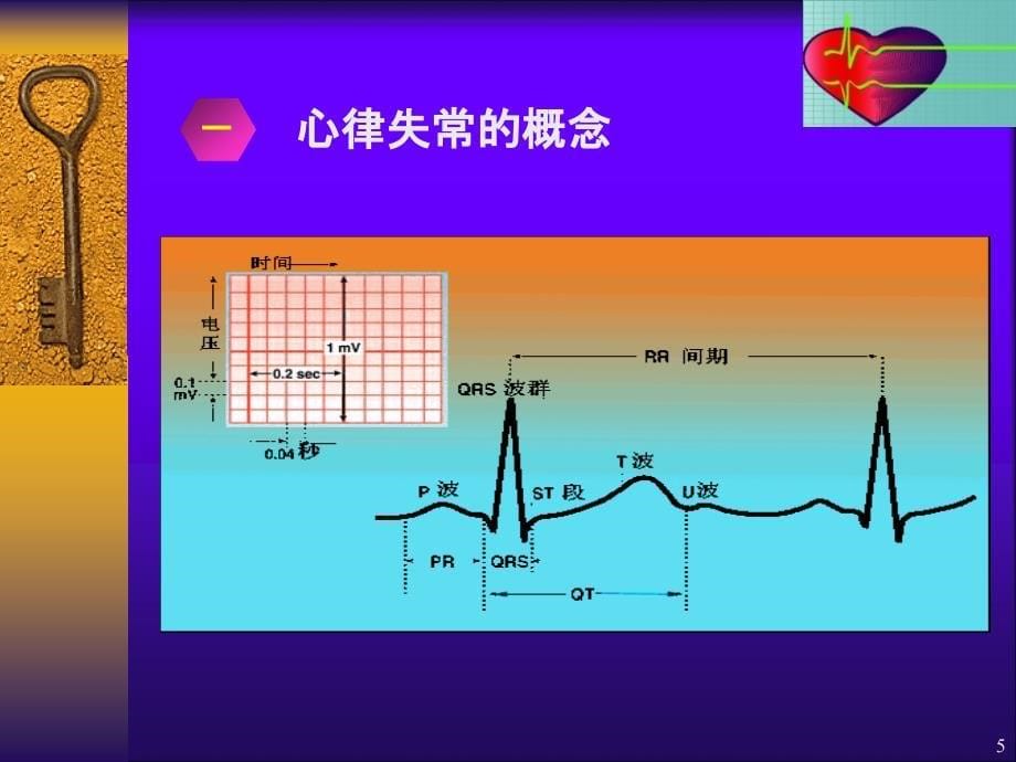 心率失常护理ppt课件.ppt_第5页