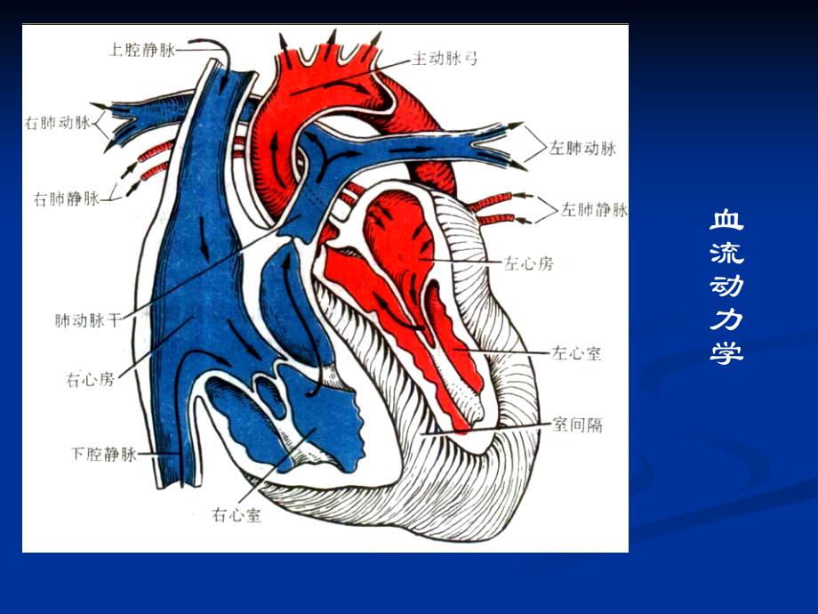 心脏重症超声PPT课件.ppt_第3页