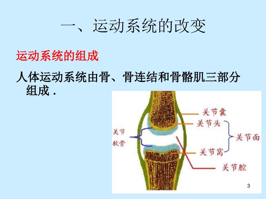 运动系统疾病老人的护理ppt课件.ppt_第3页