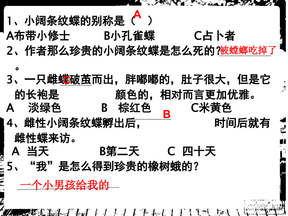 《昆虫记》之小阔条纹蝶ppt课件.ppt_第2页