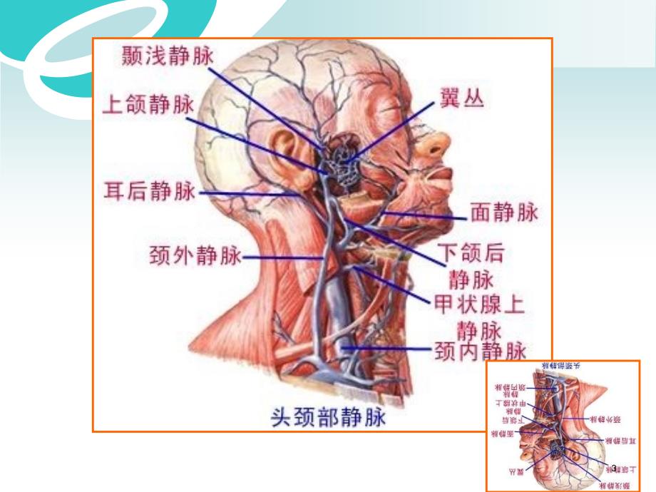 深静脉穿刺ppt课件.ppt_第3页