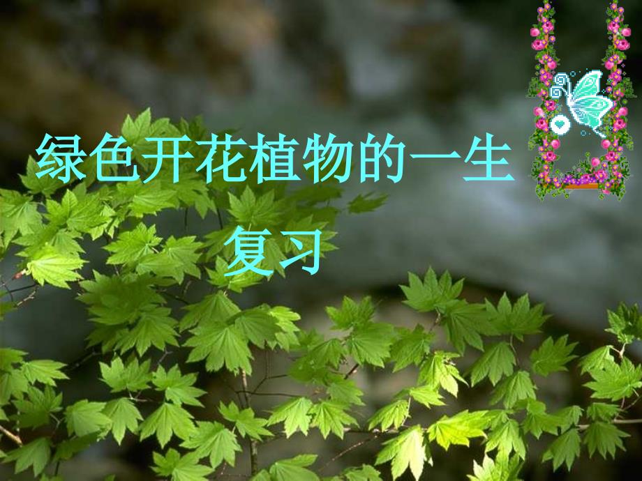 生物：第5章《绿色植物的一生》复习课件(苏教版七年级上)(1)_第1页