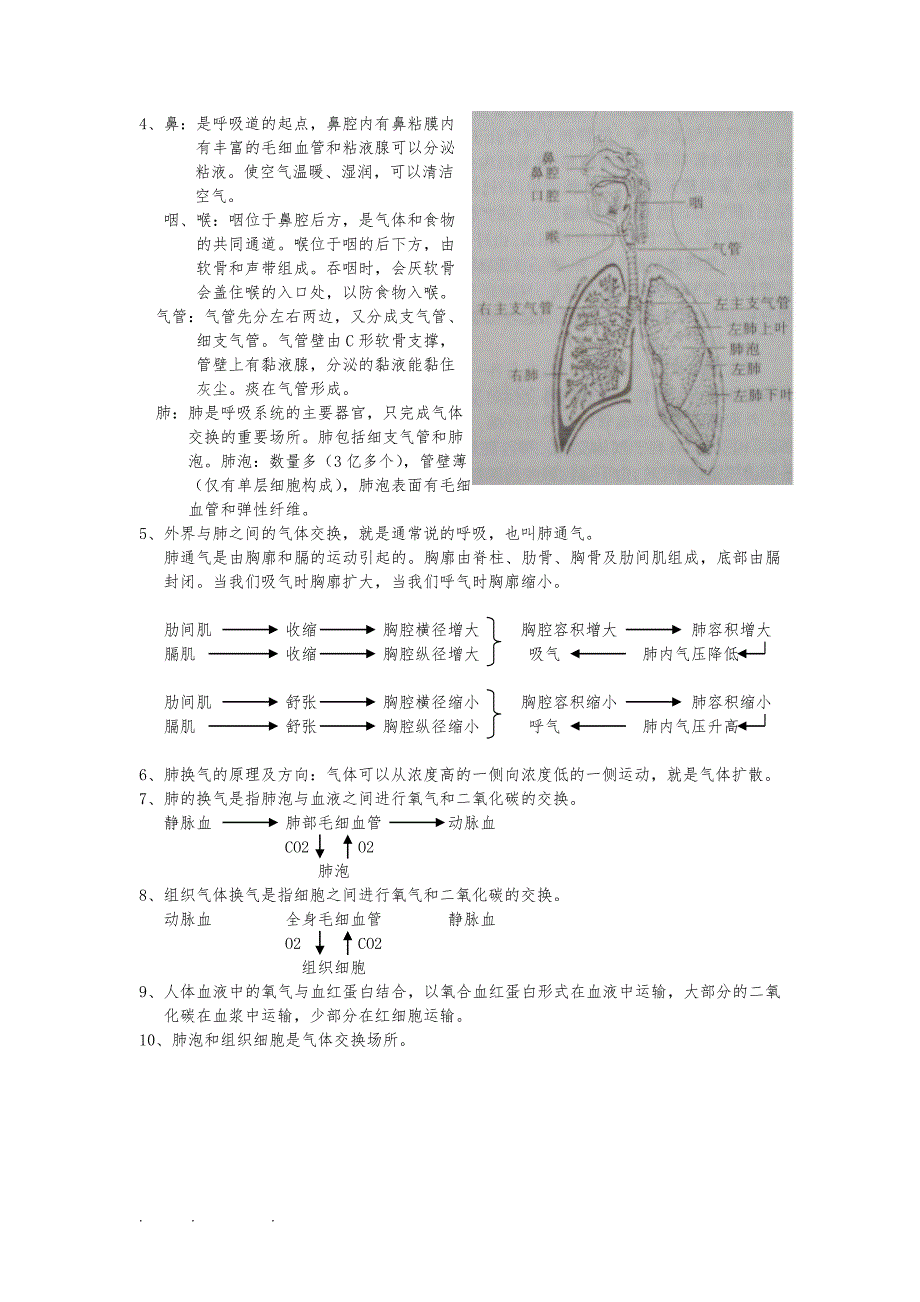 北师大版七年级（下册）生物复习提纲_第4页