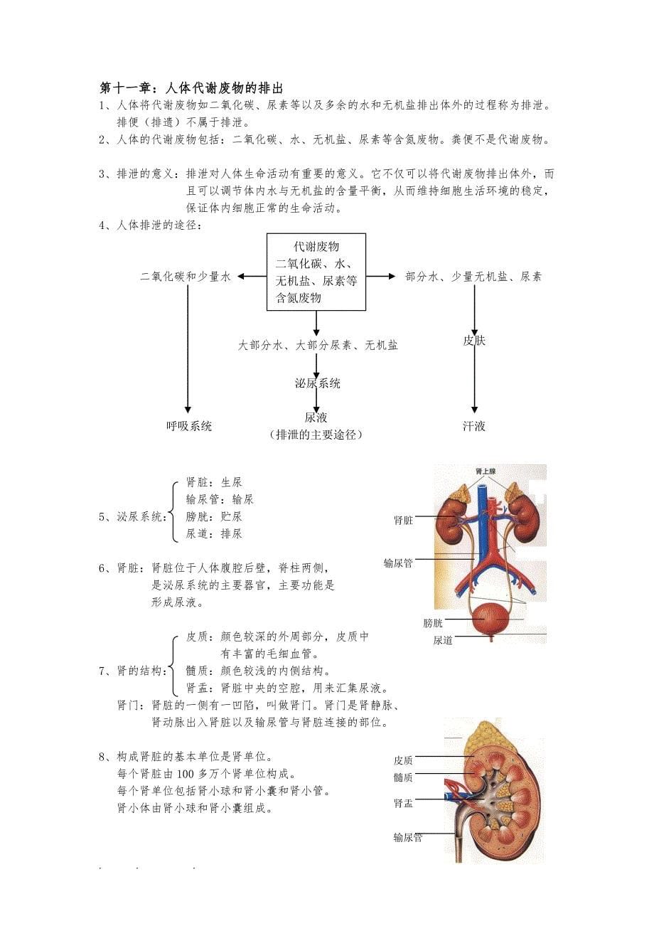 北师大版七年级（下册）生物复习提纲_第5页