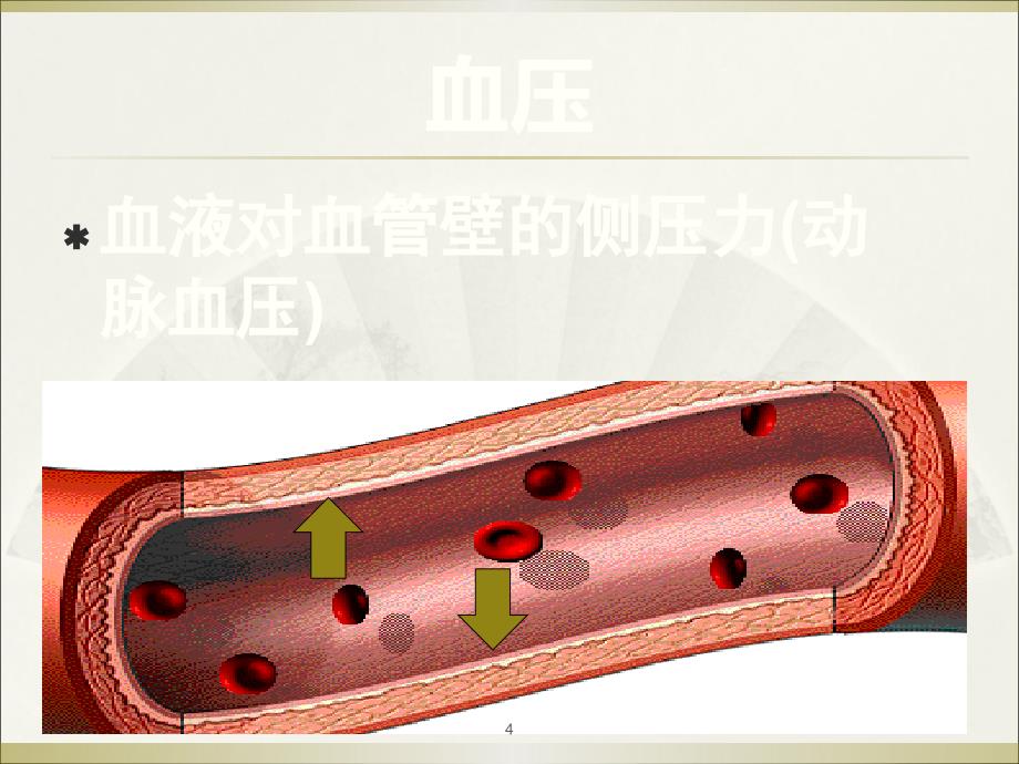 高血压健康教育讲座ppt课件.ppt_第4页