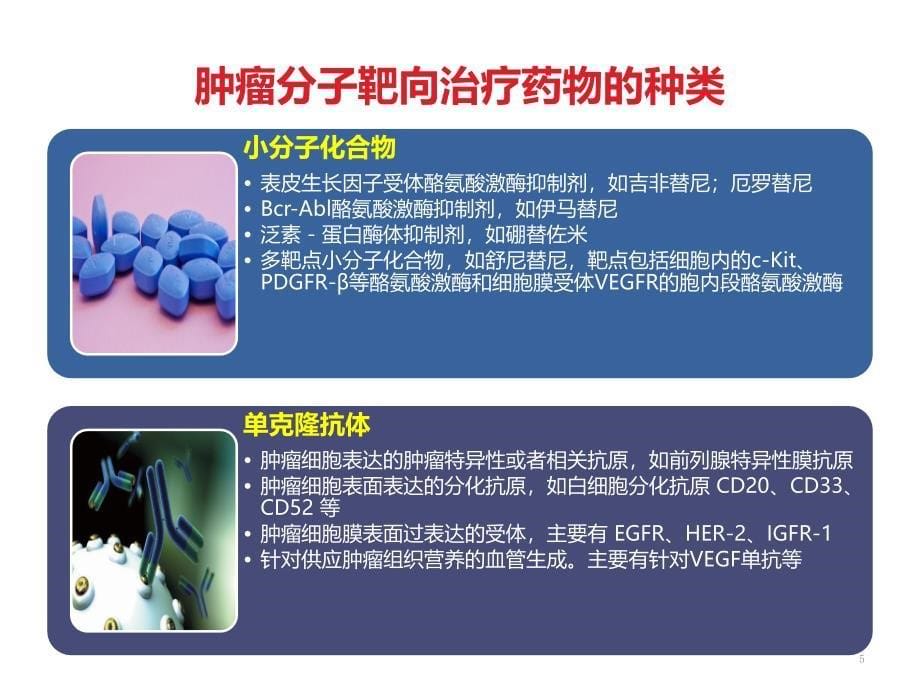 肿瘤的分子靶向治疗ppt课件.pptx_第5页