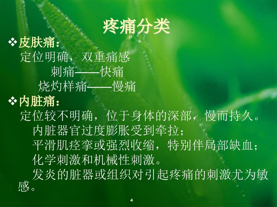 左头痛ppt课件.ppt_第4页