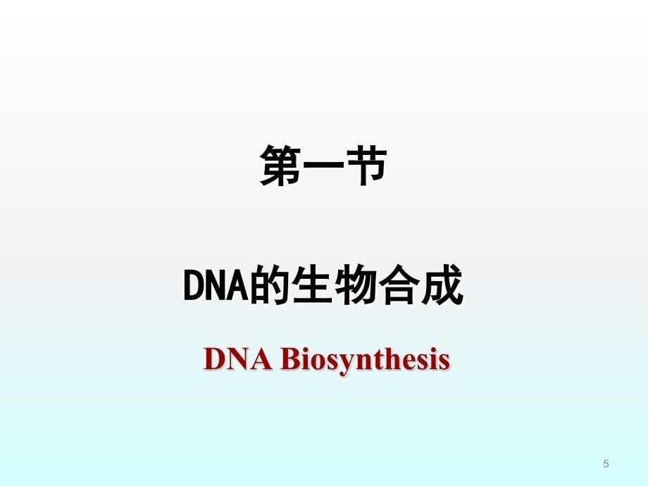 DNA和RNA的生物合成ppt课件.ppt_第5页