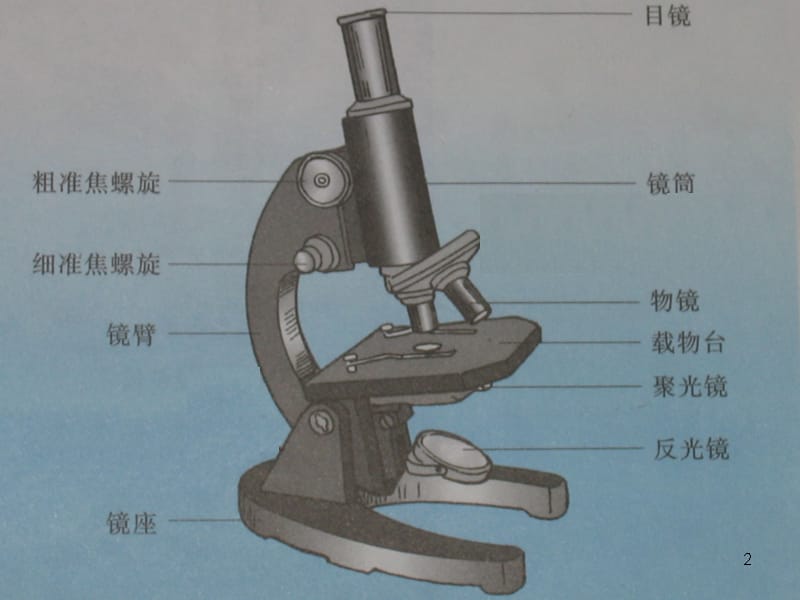 高中生物实验一使用高倍显微镜观察几种细胞ppt课件.ppt_第2页