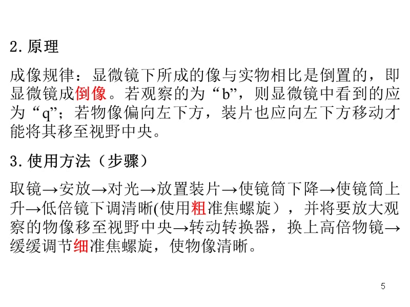 高中生物实验一使用高倍显微镜观察几种细胞ppt课件.ppt_第5页