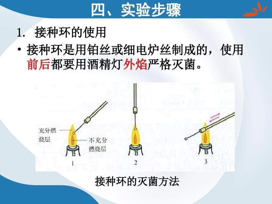 精编制作微生物的分离纯化与接种技术PPT课件_第5页