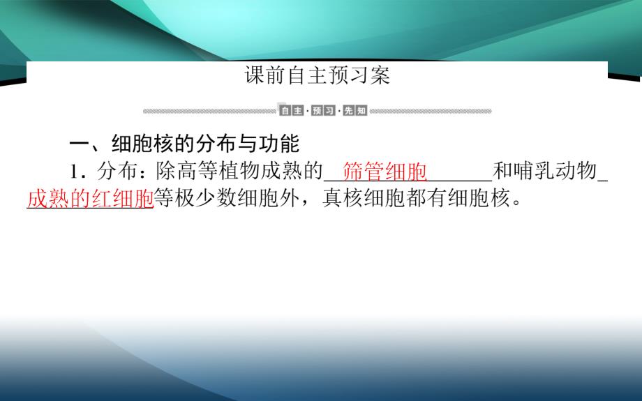 2019-2020学年（新教材）生物人教版必修1课件：3.3 细胞核的结构和功能_第2页