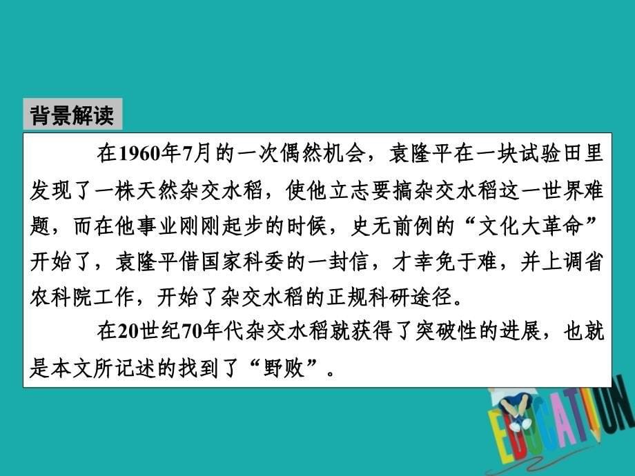 2019-2020学年粤教版语文选修传记选读课件：4在寻找“野败”的日子里_第5页