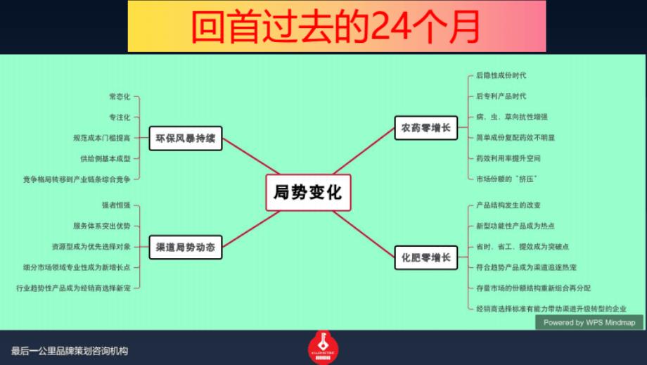 16、王标-重新定义大单品打造路径思维导图之见解_第4页