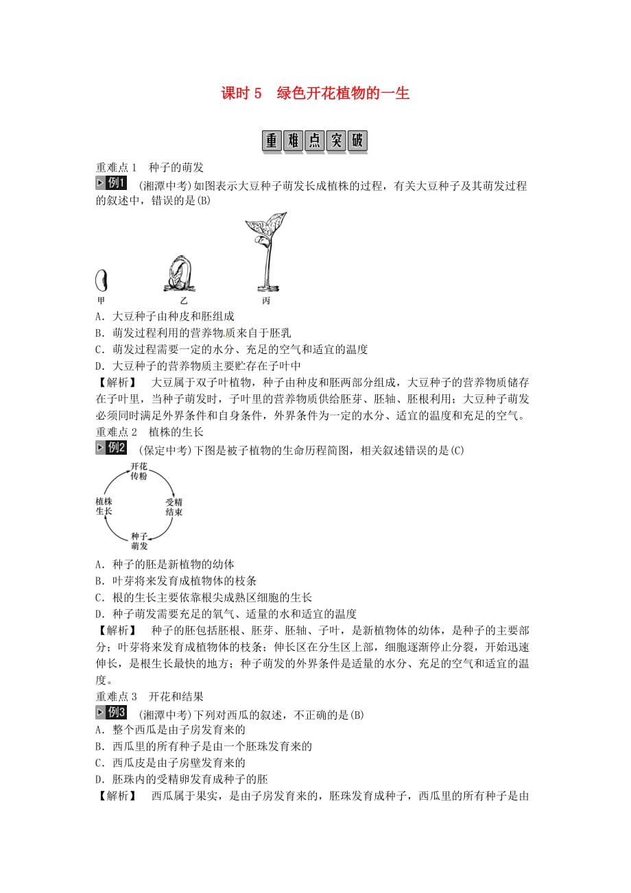 中考生物总复习主题三生物圈中的绿色植物课时5被子植物的一生_第1页