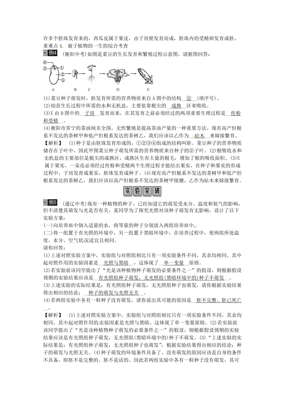 中考生物总复习主题三生物圈中的绿色植物课时5被子植物的一生_第2页