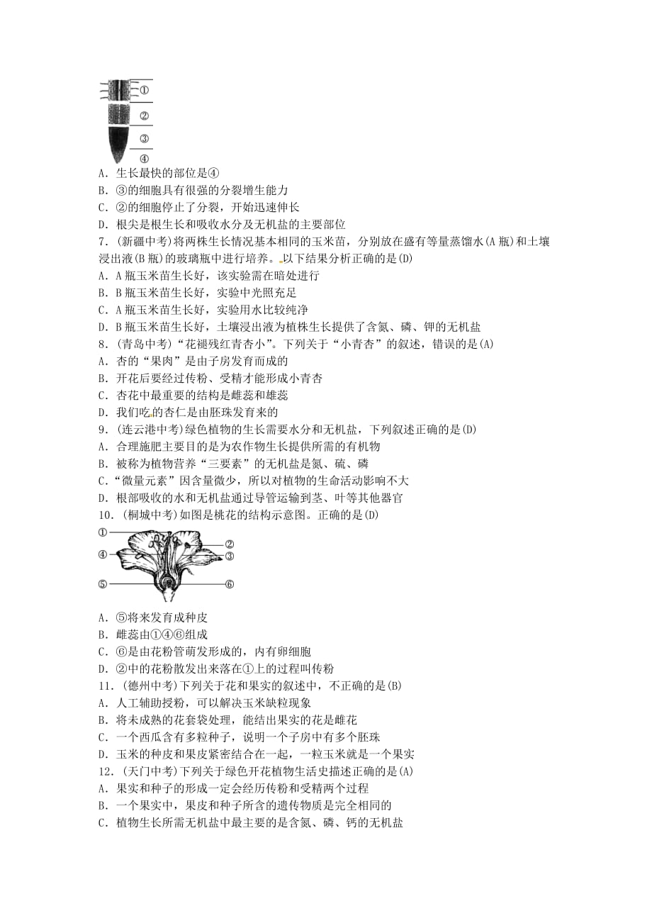 中考生物总复习主题三生物圈中的绿色植物课时5被子植物的一生_第4页