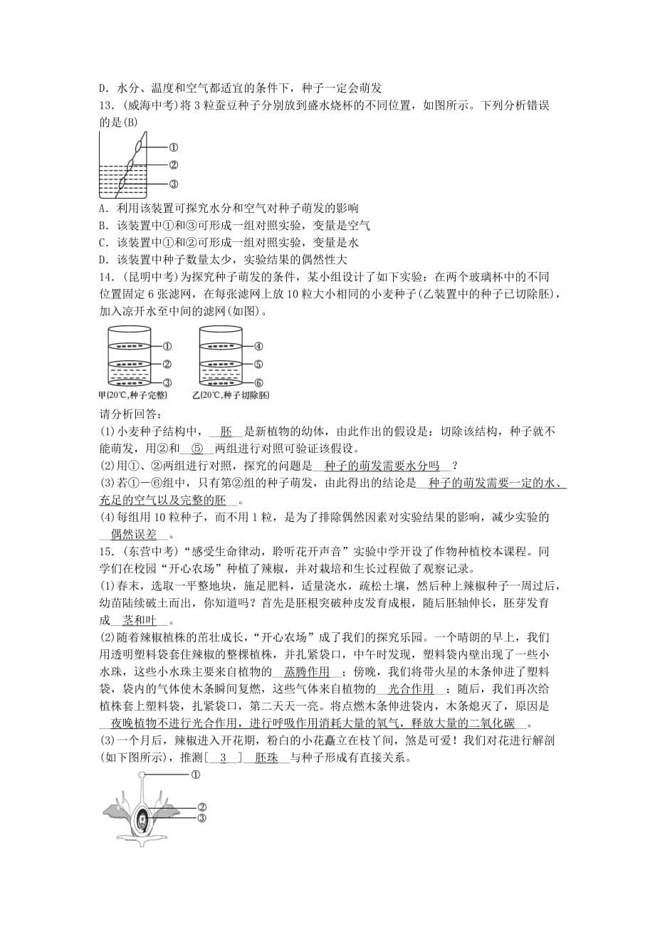 中考生物总复习主题三生物圈中的绿色植物课时5被子植物的一生_第5页