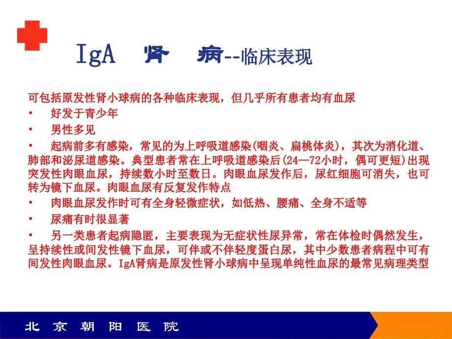 19IgA肾病说课材料_第5页