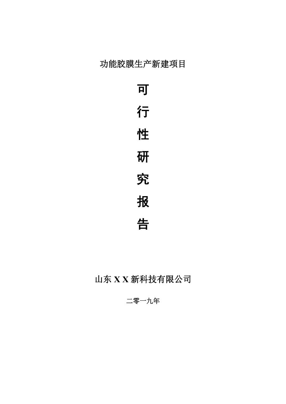 功能胶膜生产新建项目可行性研究报告-可修改备案申请(1)_第1页