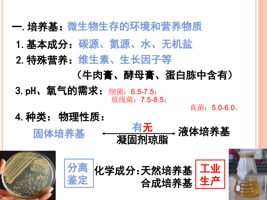 实验五_微生物培养基配制与灭菌_第3页