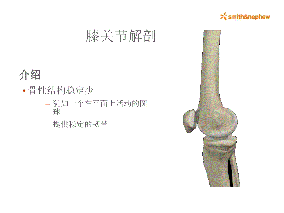 膝关节解剖完整.ppt_第2页