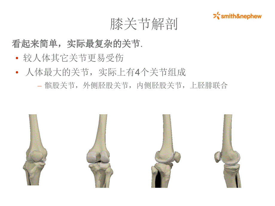 膝关节解剖完整.ppt_第3页