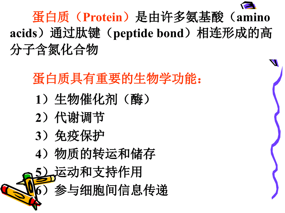 生物化学第二章_蛋白质结构与功能_第2页