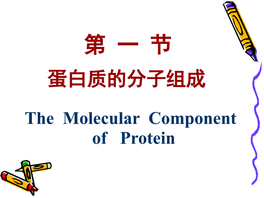 生物化学第二章_蛋白质结构与功能_第3页