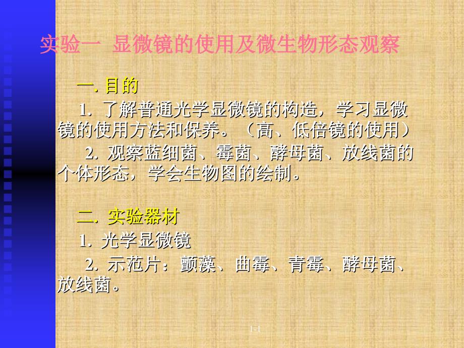 精编制作微生物实验实验一显微镜的使用及微生物形态观察PPT课件_第2页