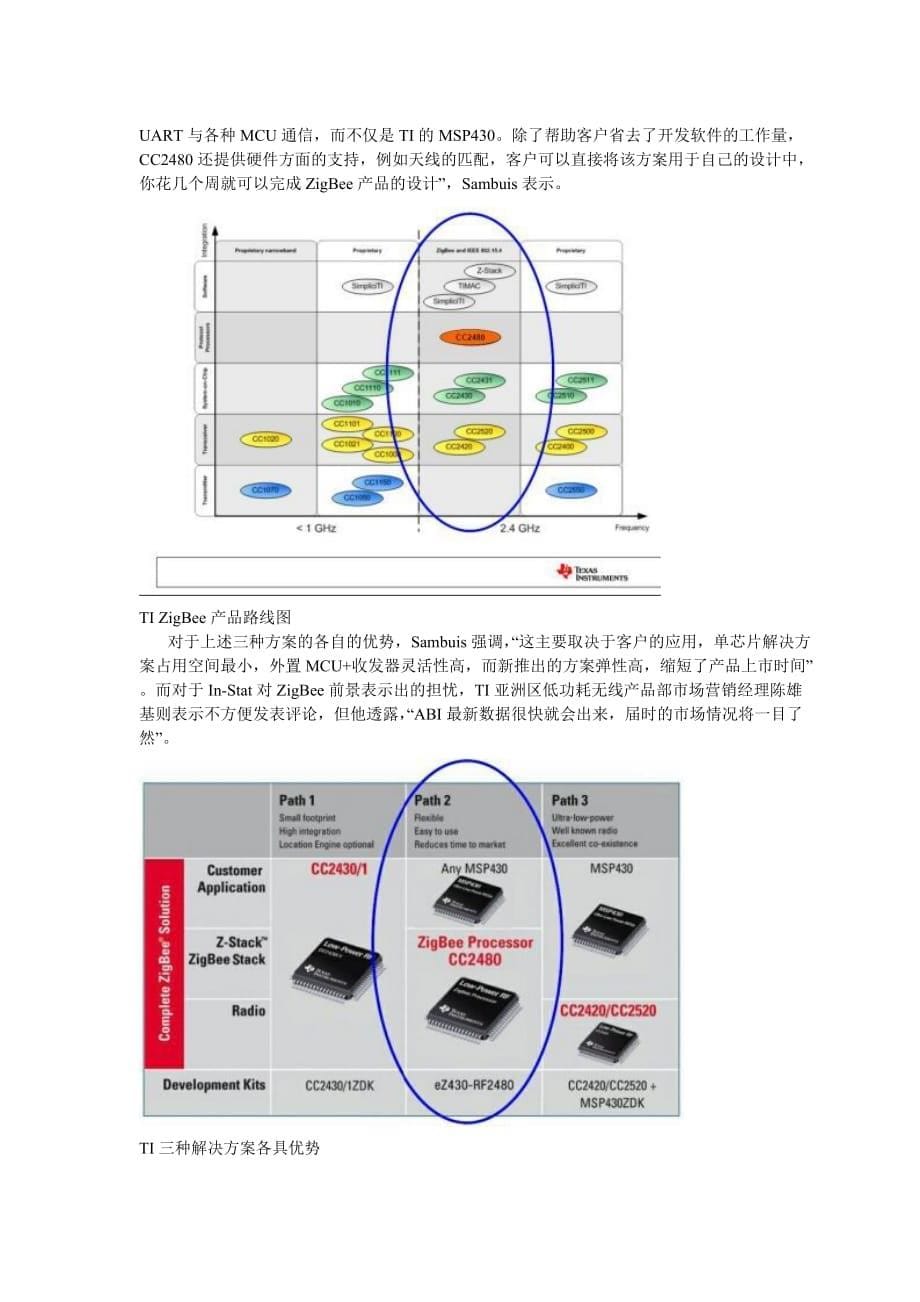 （市场分析）Z市场分析_第5页