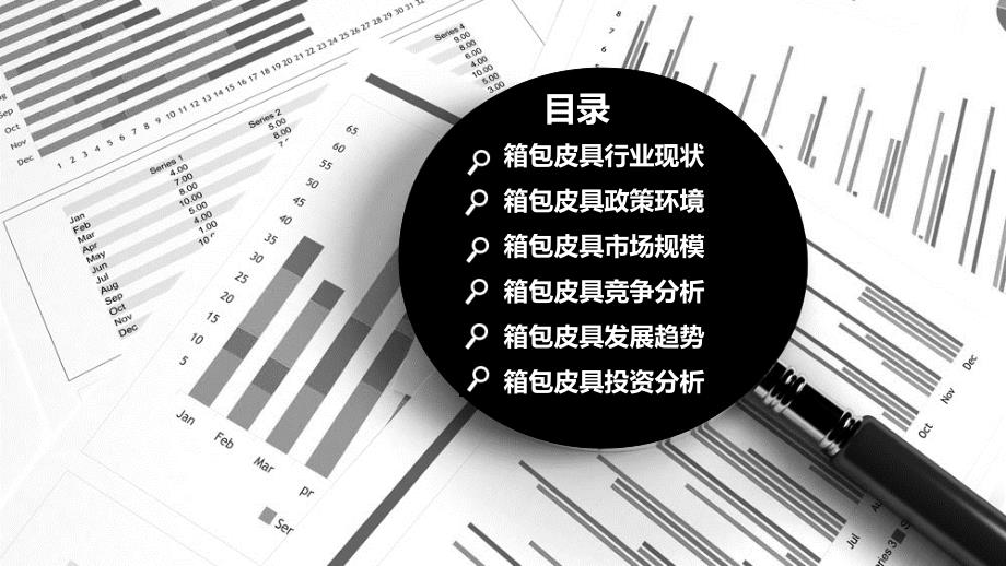 2020箱包皮具行业前景研究分析_第2页