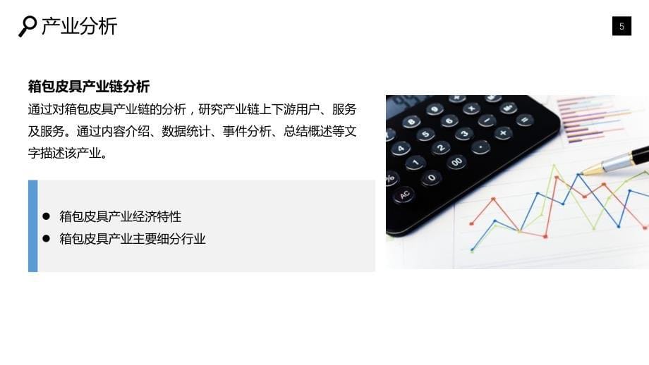 2020箱包皮具行业前景研究分析_第5页