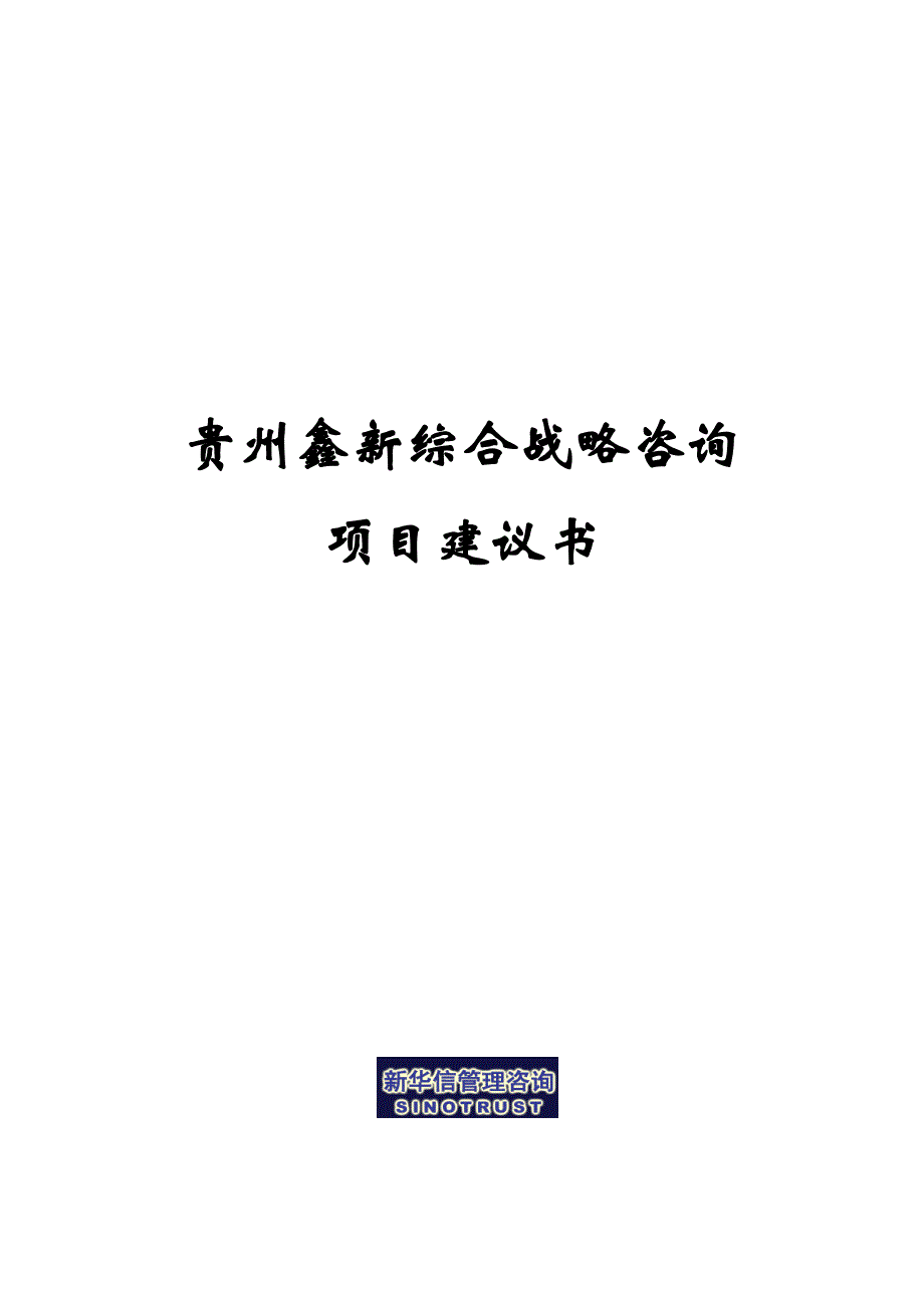 （战略管理）贵州鑫新综合战略项目建议书_第1页