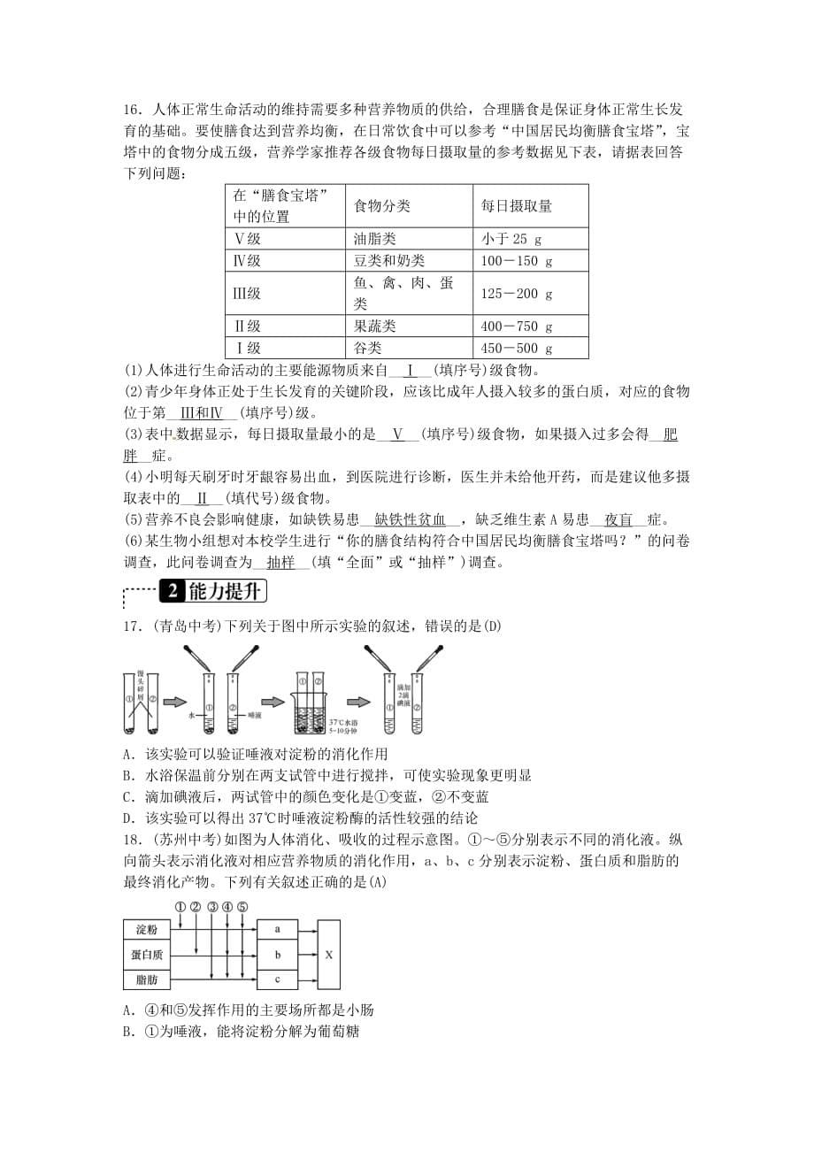 中考生物总复习主题四生物圈中的人课时8人体的营养_第5页