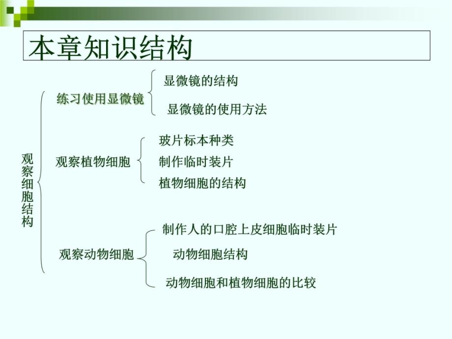 2七年级上册生物第二单元复习上课讲义_第3页