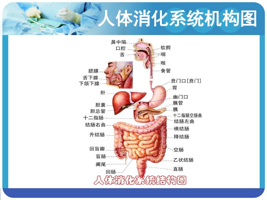 胃肠减压的护理完整版本.ppt_第3页