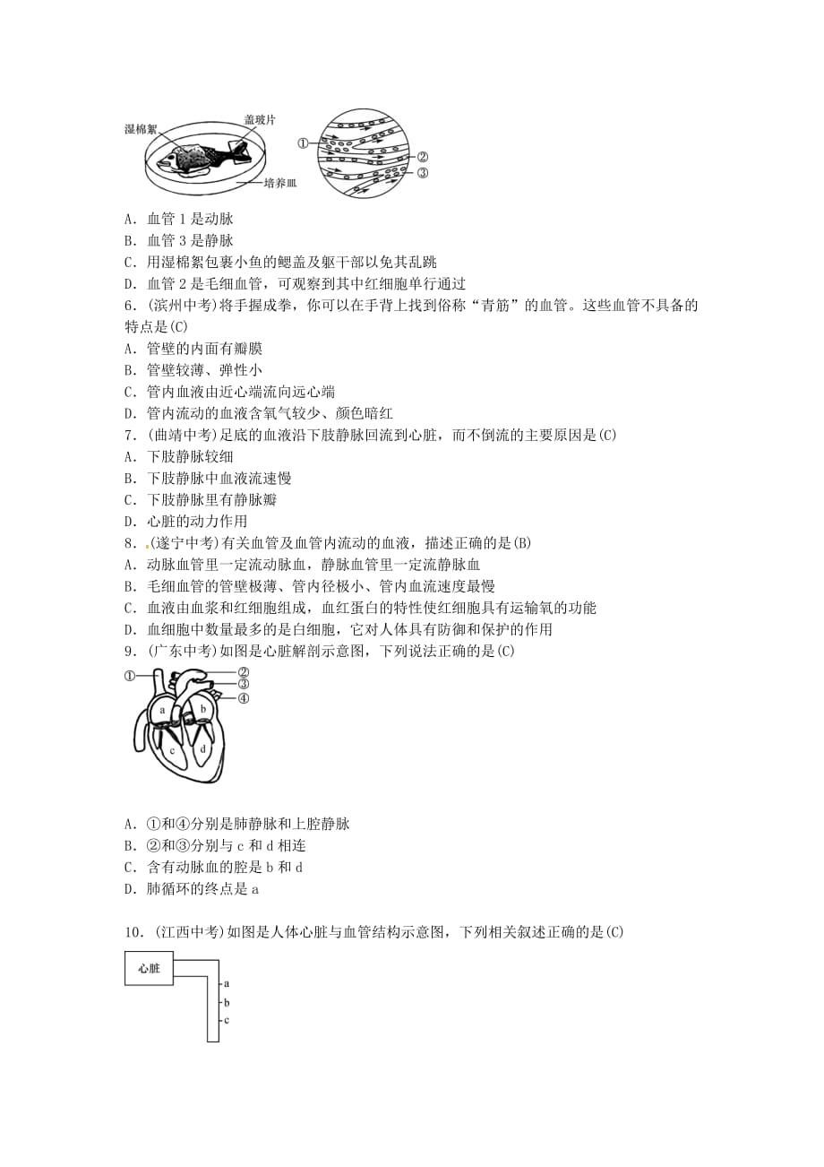 中考生物总复习主题四生物圈中的人课时10人体内物质的运输_第4页