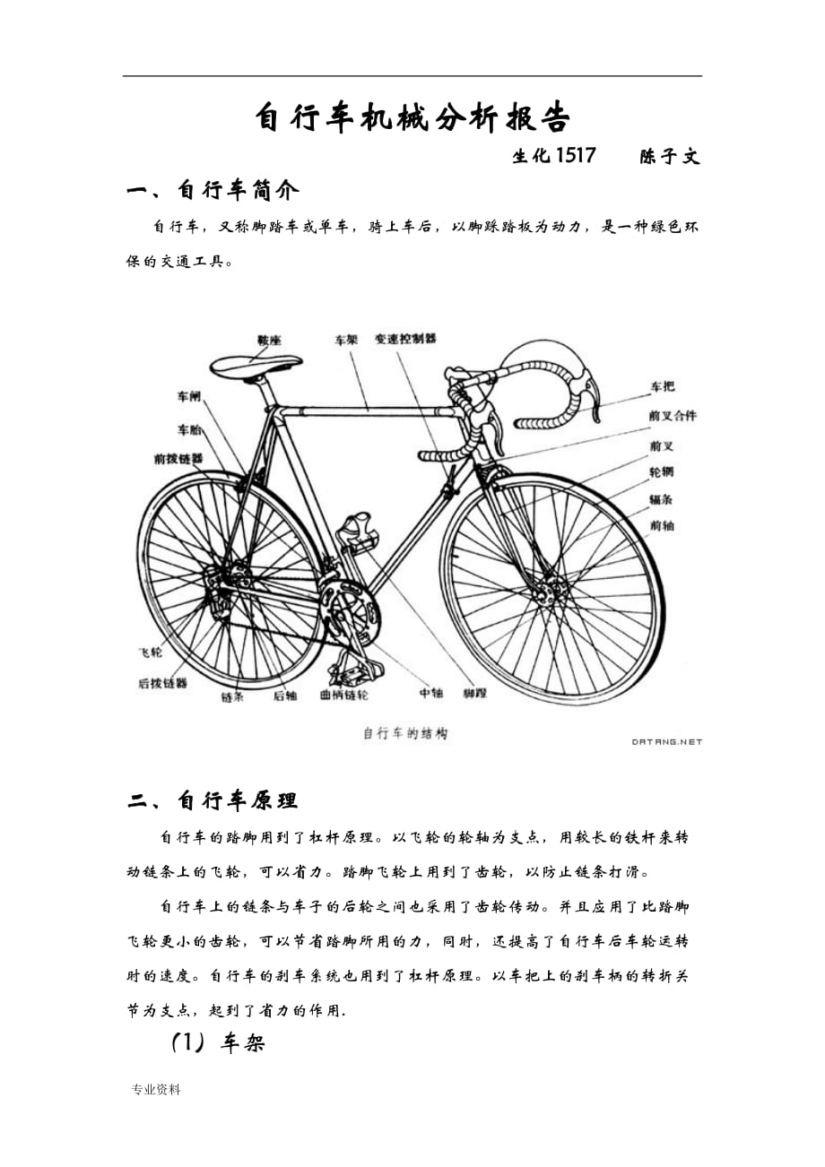 自行车分析实施报告_第1页