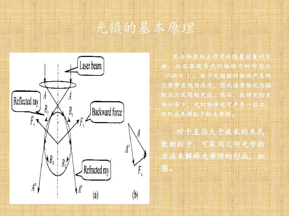 精编制作新型光镊及光镊应用PPT课件_第4页