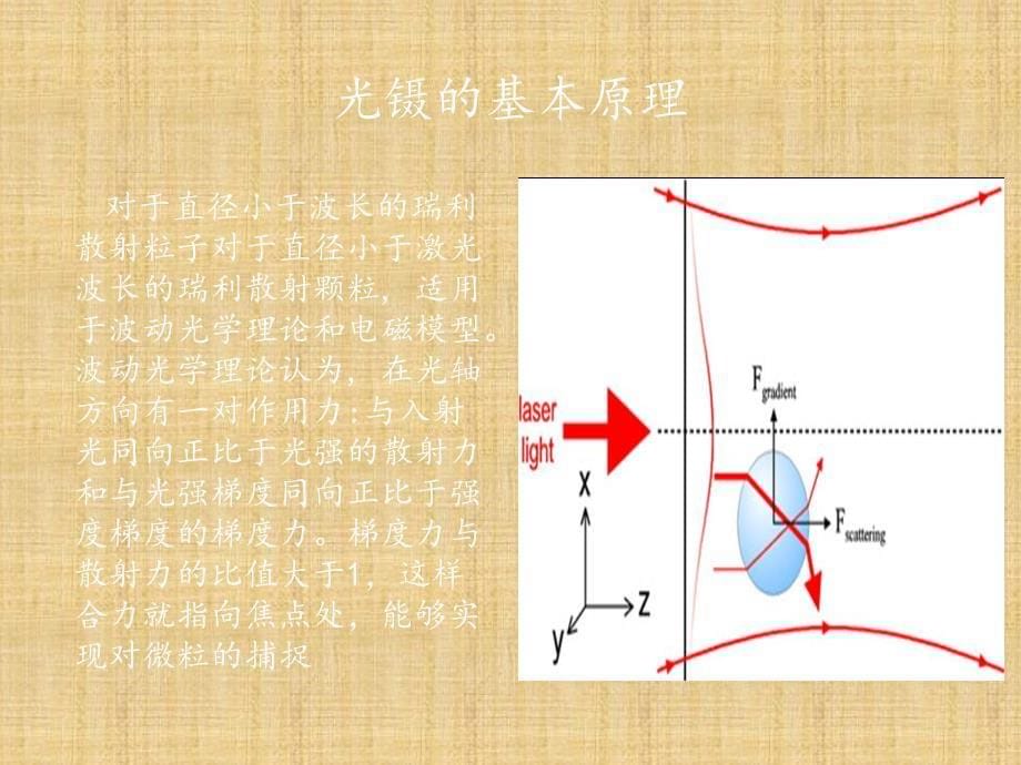 精编制作新型光镊及光镊应用PPT课件_第5页