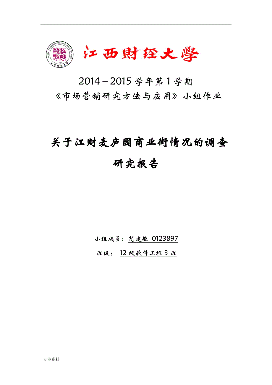 商业街调查研究报告分析实施报告_第1页