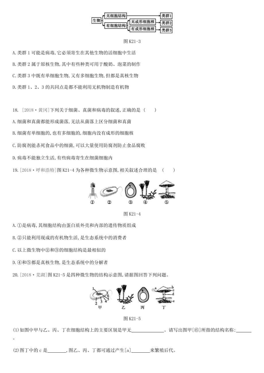 中考生物专题复习五生物的多样性及其保护课时训练21生物圈中的微生物新人教版_第4页