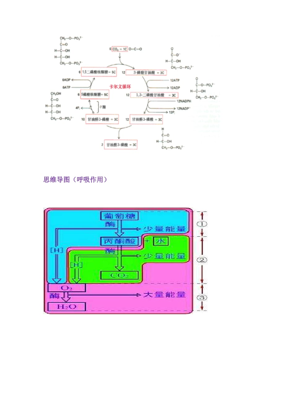 光合作用和呼吸作用知识锦囊(1)_第2页