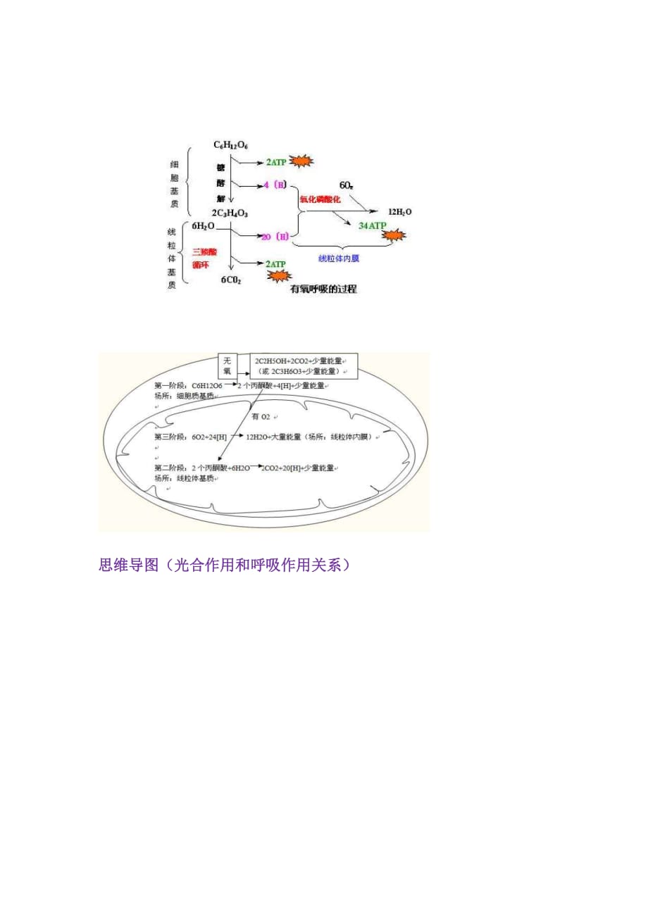 光合作用和呼吸作用知识锦囊(1)_第3页