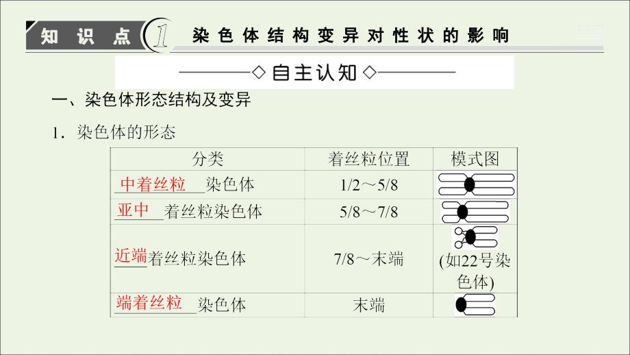 2018-2019高中生物第1单元第2章第2节染色体结构变异对性状的影响课件中图版_第3页