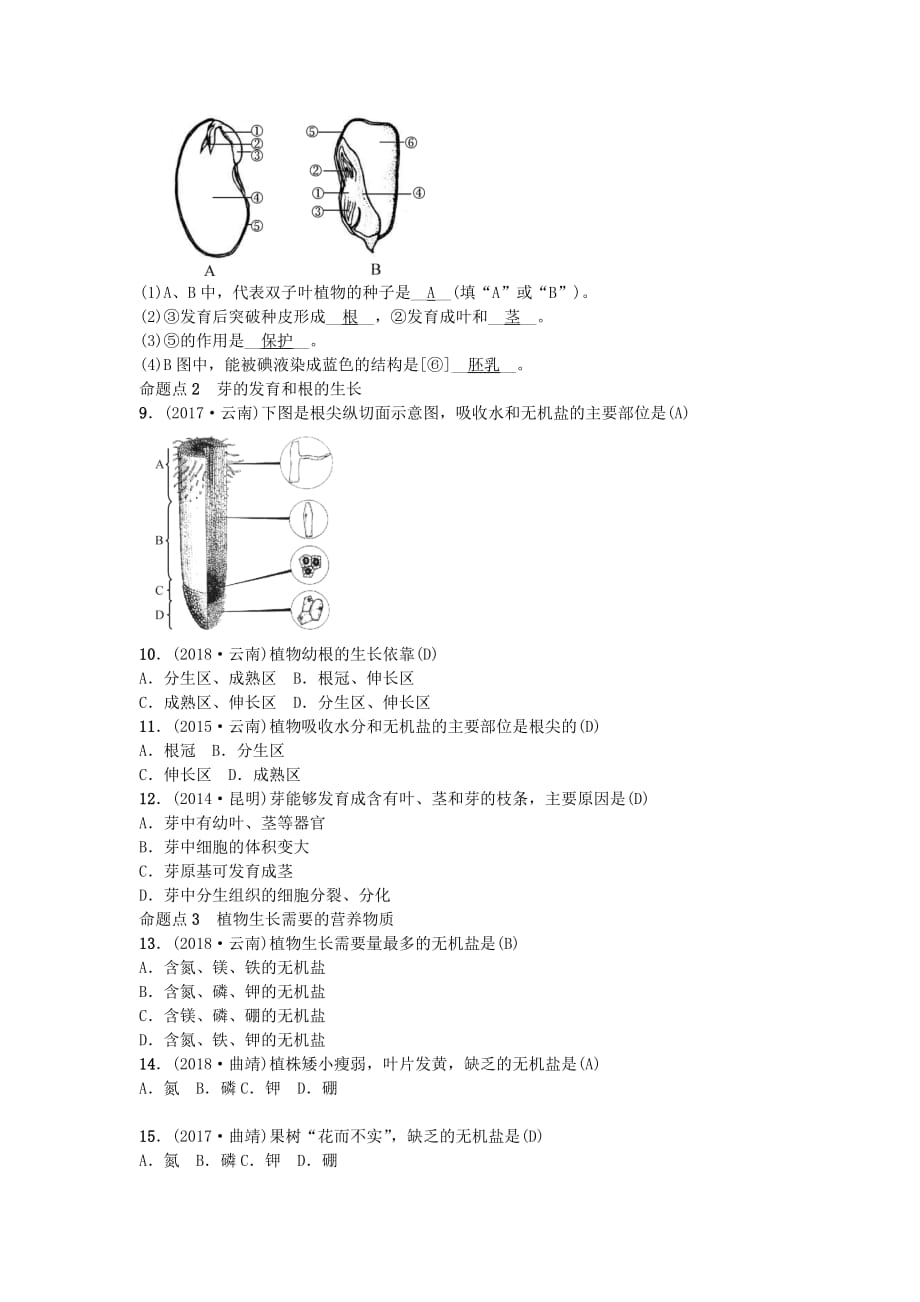 云南专版中考生物教材考点梳理第5课时被子植物的一生25_第2页