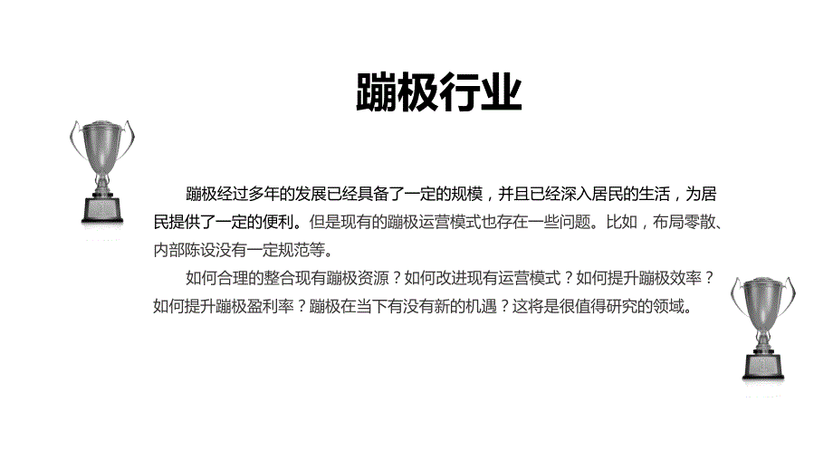 2020蹦极行业前景研究分析_第4页