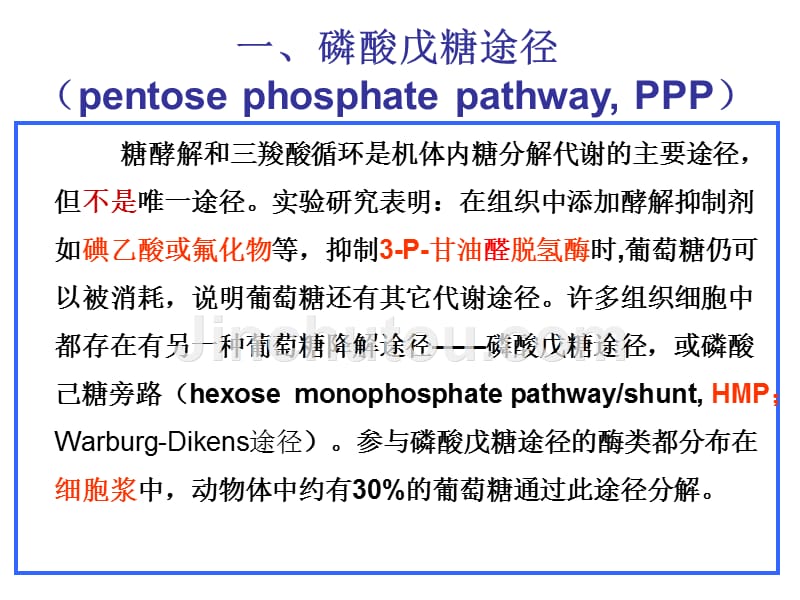 生物化学王镜岩第三版第25章_磷酸戊糖途径课件_第2页